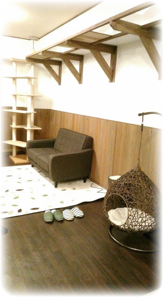 りとやとは？ 猫処りとや