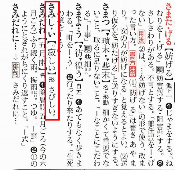 さびしい と さみしい の違いを確認 小牧市の元気な個別指導学習塾 名学館 小牧新町校