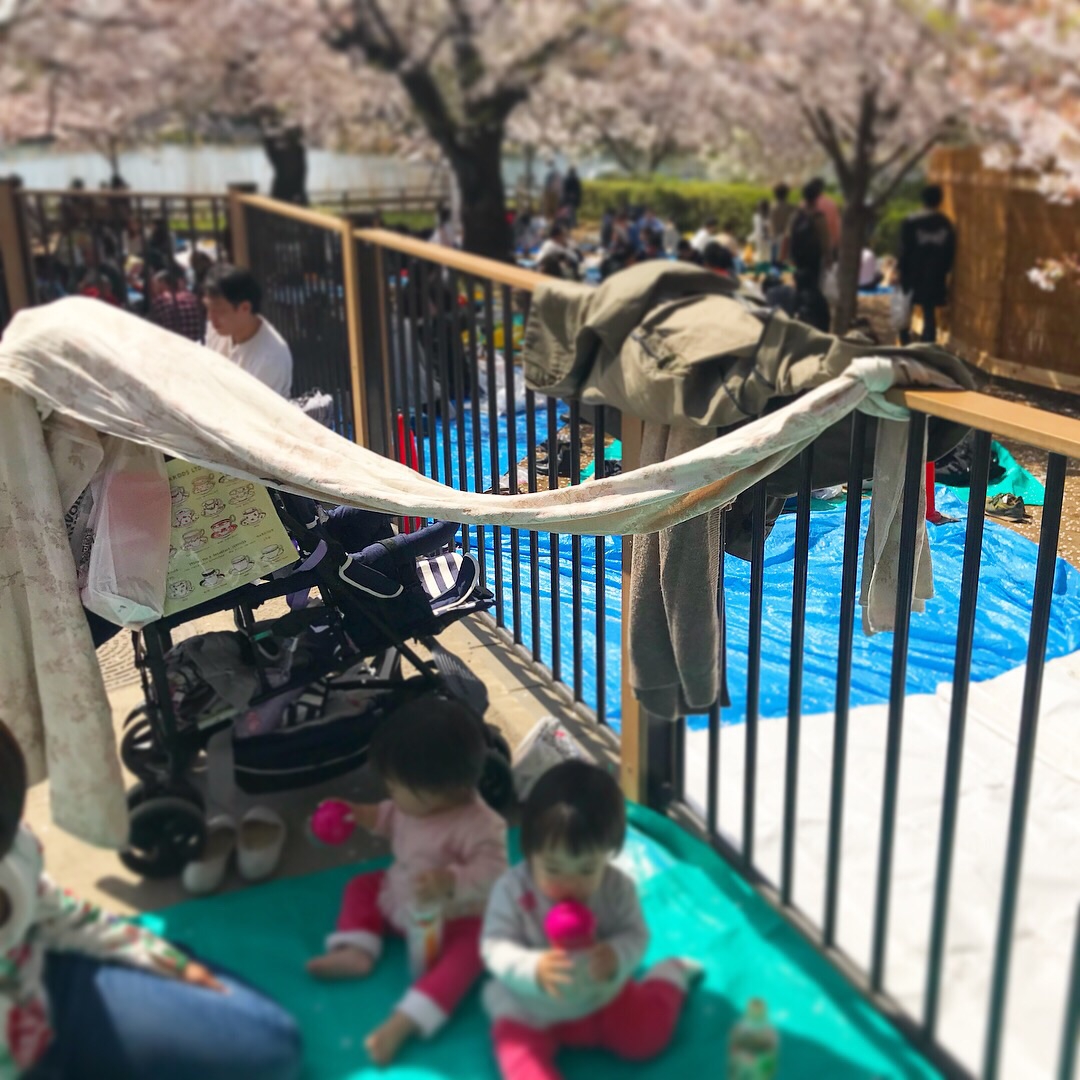 ディディモス ベビーラップ シルク混 夢見草