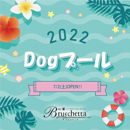 ドッグカフェ レストラン ブルスケッタ ドッグカフェ レストラン ブルスケッタ