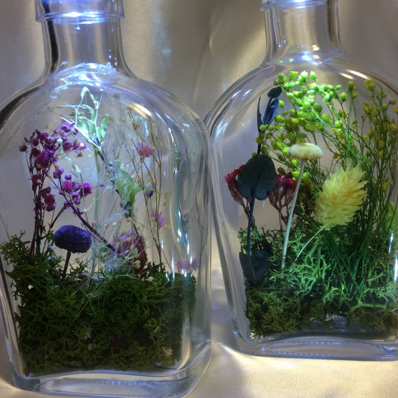 野原に息づく小さな植物たち Precious Stone 野原に息づく小さな植物たち Precious Stone