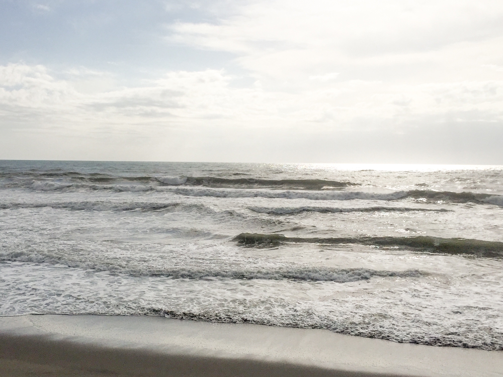 木崎 浜 波 情報