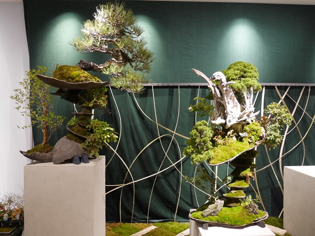 盆栽師 平尾成志さんのbonsai まるまるひがしにほん 東日本連携センター さいたま着物さんぽ