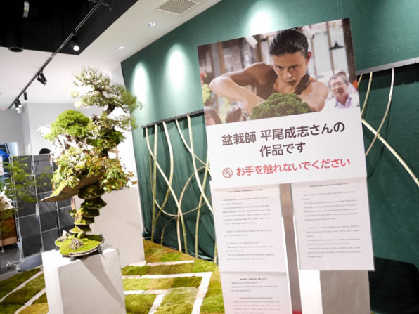 盆栽師 平尾成志さんのbonsai まるまるひがしにほん 東日本連携センター さいたま着物さんぽ