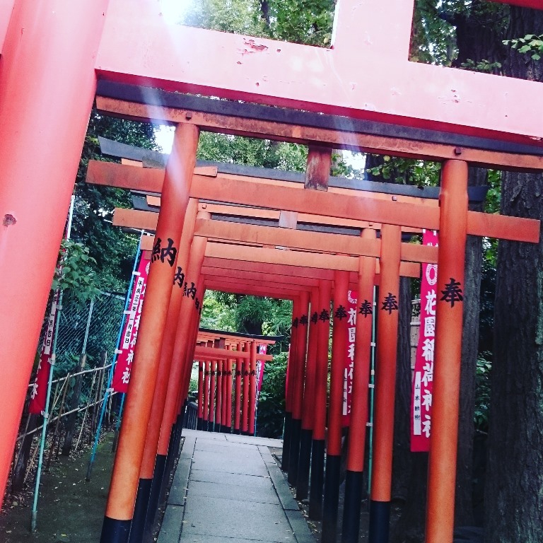 安産、縁談！俗称「お穴様」。不思議ちっくな上野にある花園稲荷神社へ 