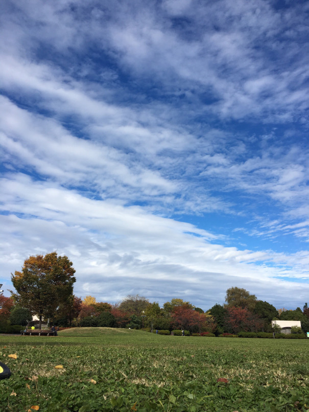 平和の森公園 多目的運動広場のオープンと第二工区の意見募集について 子育て環境向上委員会 中野