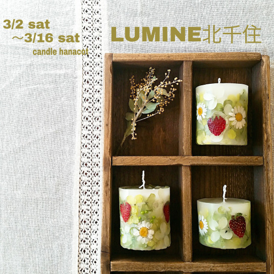 ルミネ北千住出店のお知らせ Candle Hanacot キャンドル ハナコト ルミネ北千住出店のお知らせ Candle Hanacot キャンドル ハナコト