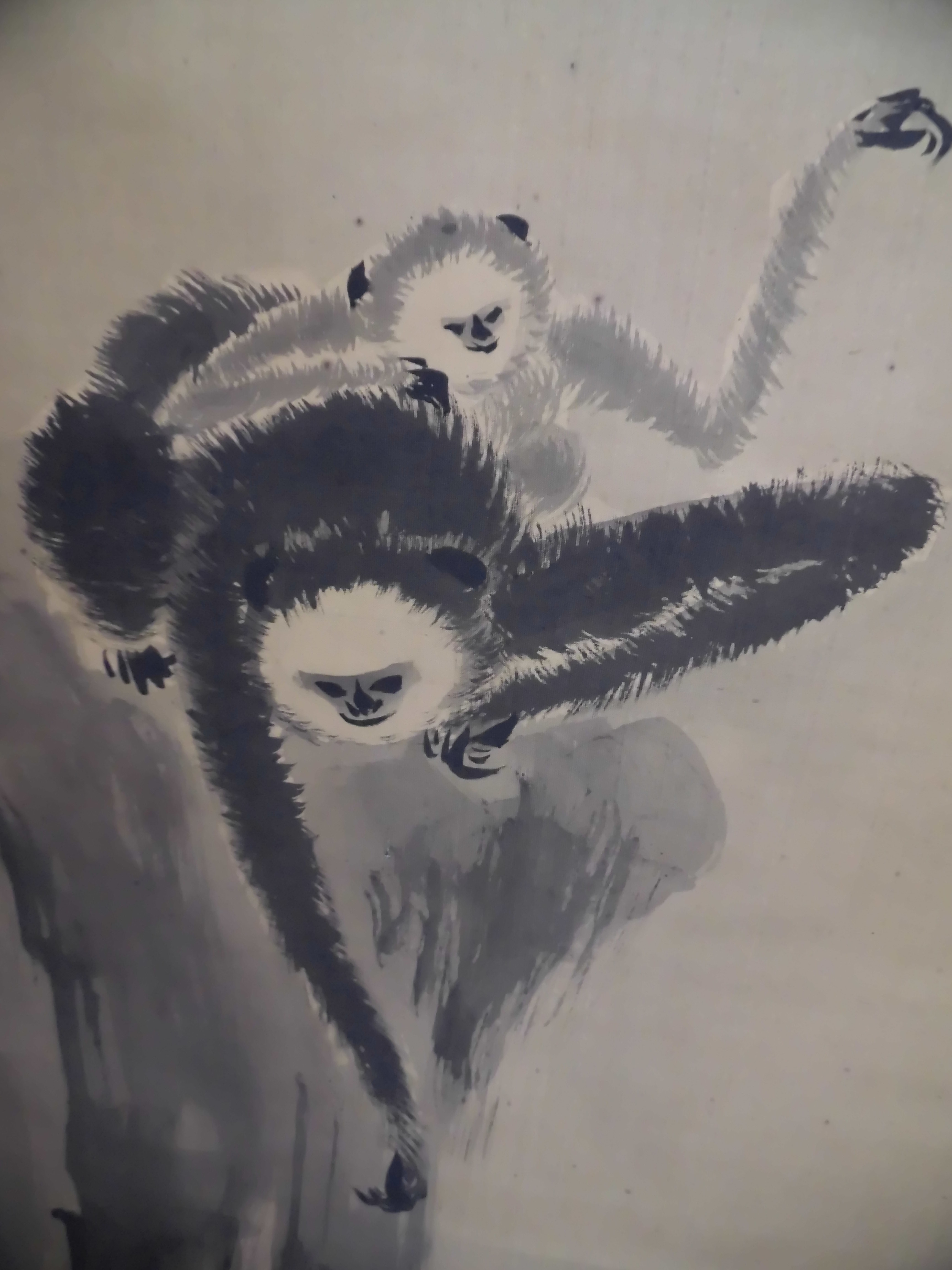 狩野常信 猿猴図   大江戸浮世絵美術館