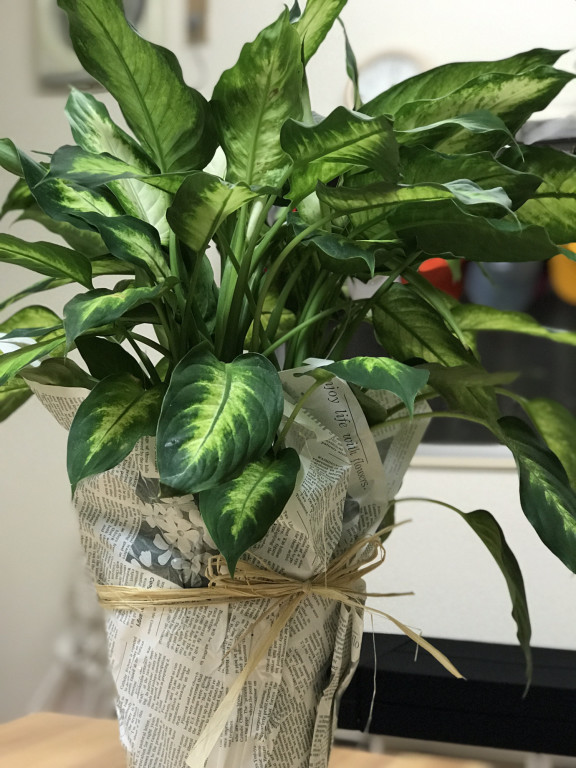 ひと ページ1 Re Self