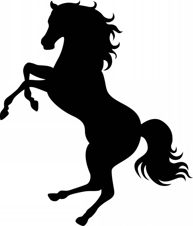 心とからだ 暴れ馬を乗りこなす Re Self 心とからだ 暴れ馬を乗りこなす Re Self