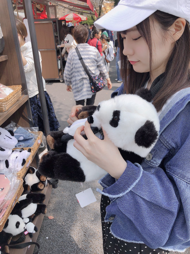 パンダと一緒可愛い女の子です Jason Chye Yean