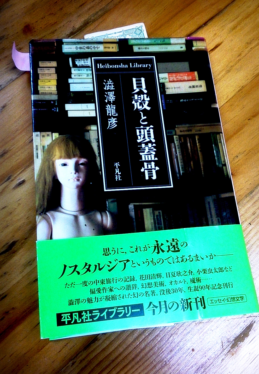 澁澤龍彦の【貝殻と頭蓋骨】（平凡社）を読んで | Subcelebrity Race