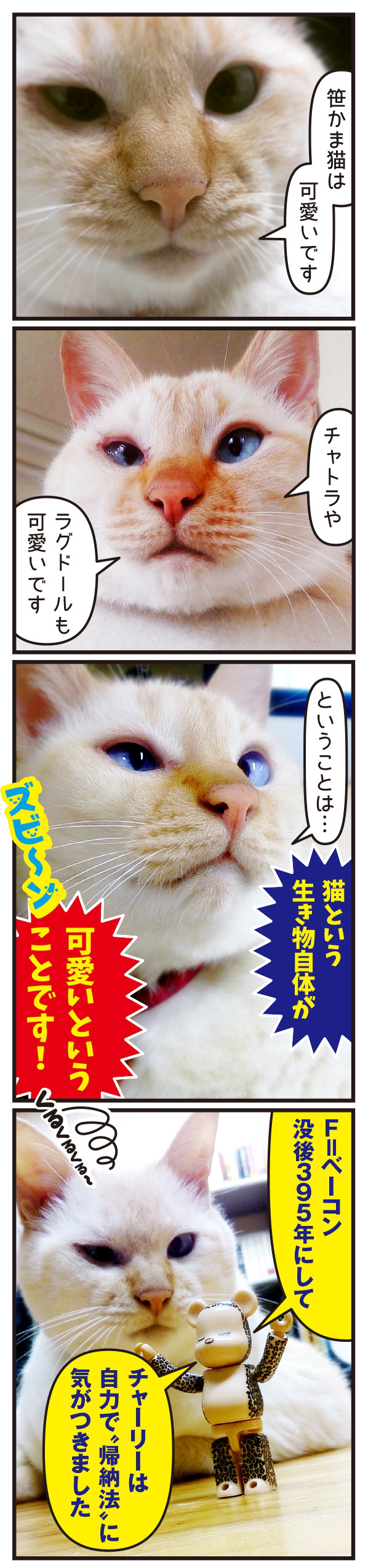笹かま にゃんにゃん可愛い論 Subcelebrity Race サブセレ 笹かま にゃんにゃん可愛い論 Subcelebrity Race サブセレ