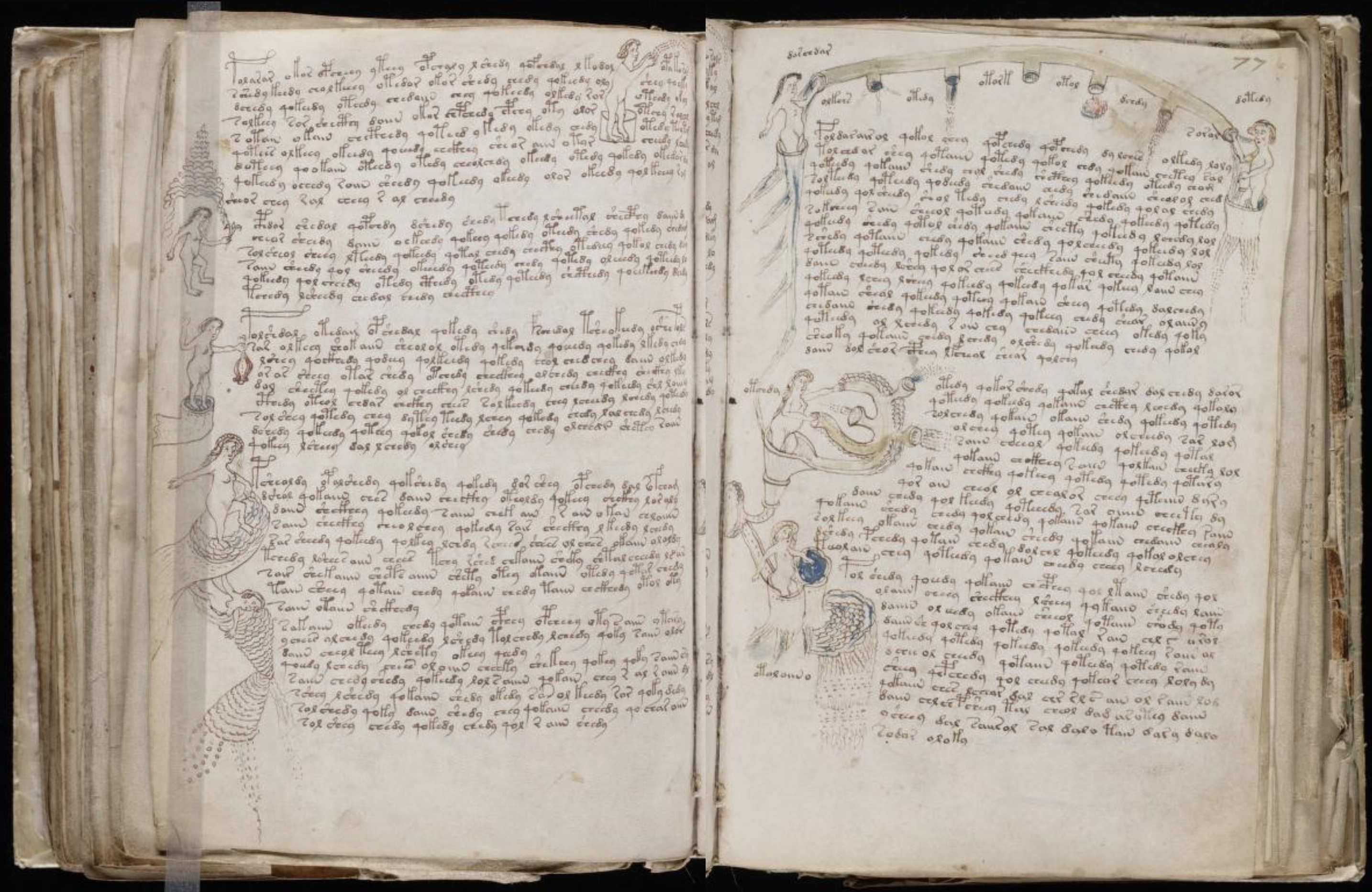 ヴォイニッチ!? にゃんにゃんミステリー手稿!! | Subcelebrity