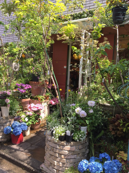 南青山 表参道お花屋さんめぐり オープンハウス ブルーメン