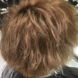 19年01月の記事一覧 兵庫の美容院 Nyny 加古川店 ブログ 19年01月の記事一覧 兵庫の美容院 Nyny 加古川店 ブログ