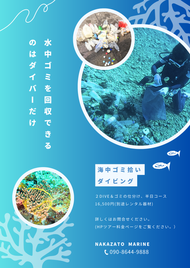 ダイビングワールドビデオ 沖縄編４/マリン企画（単行本） 月刊『マリンダイビング』4月号｜Marine Diving web（マリン