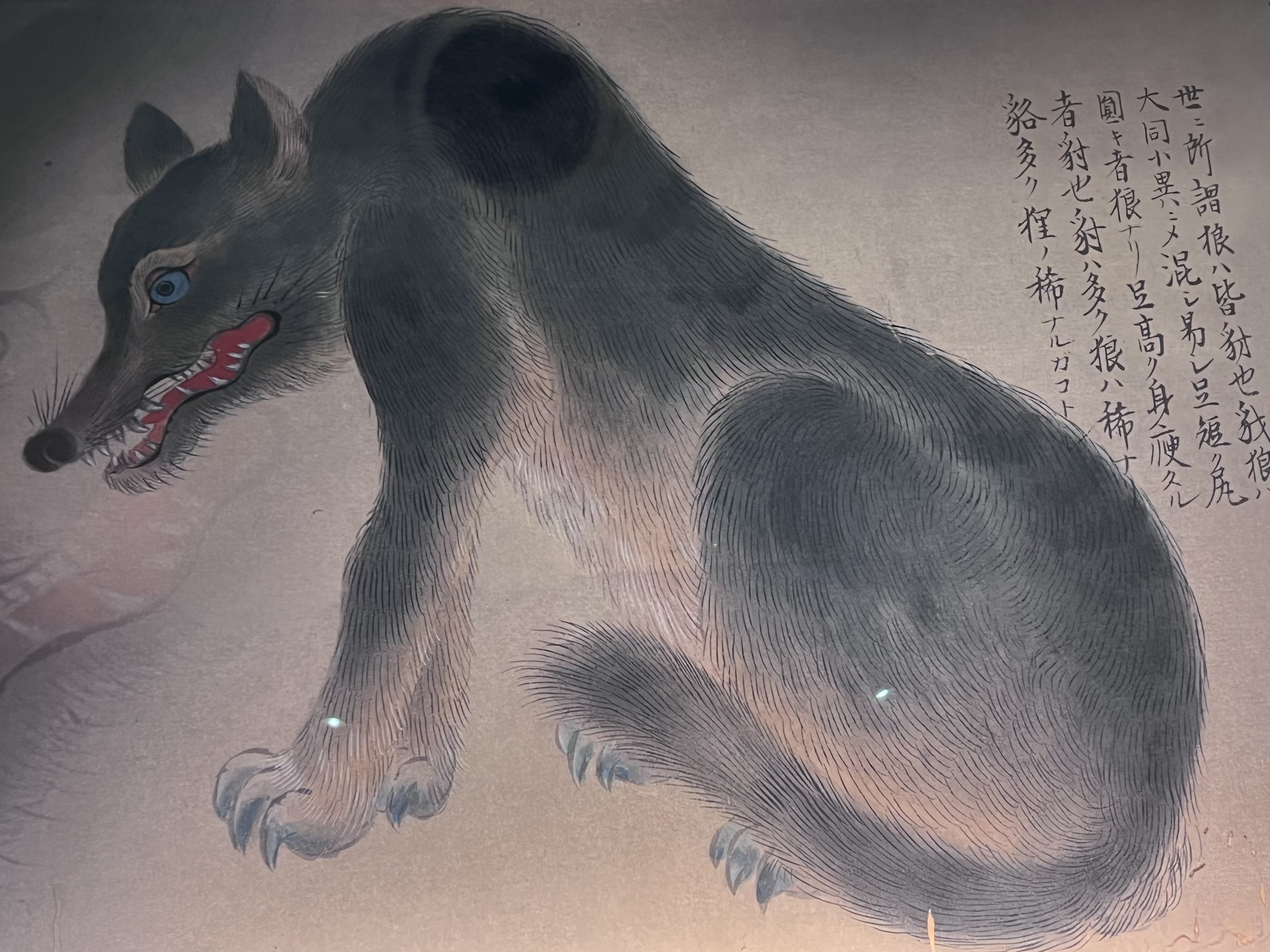 ニホンオオカミと日本犬の話 | Workshop Vuovdi / 東京下町の