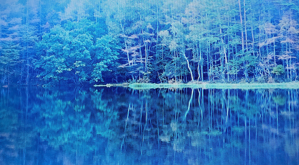 一瞬の奇跡を切りとった風景画 緑響く 東山魁夷 作 1972 昭和47 年 長野県信濃美術館 美的なるものを求めて Pursuit For Eternal Beauty 一瞬の奇跡を切りとった風景画 緑響く 東山魁夷 作 1972 昭和47 年 長野県信濃美術館 美的なるものを求めて Pursuit For Eternal Beauty