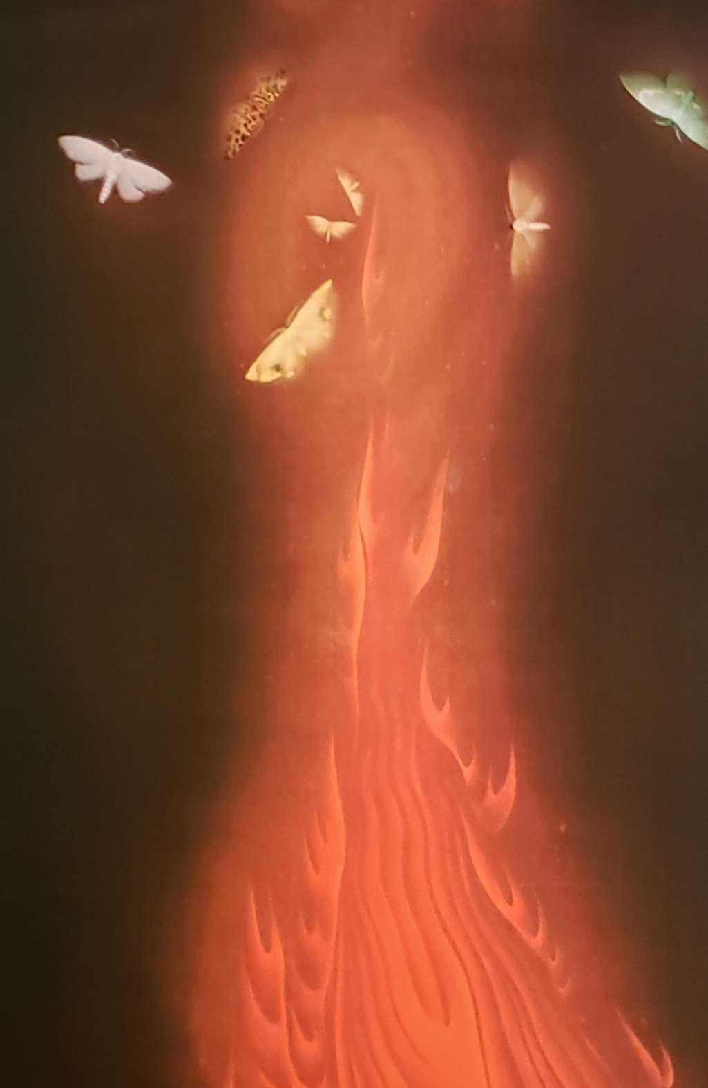 妖しく・儚く・美しく・・・「炎舞」(速水御舟 作 1925年 山種美術館