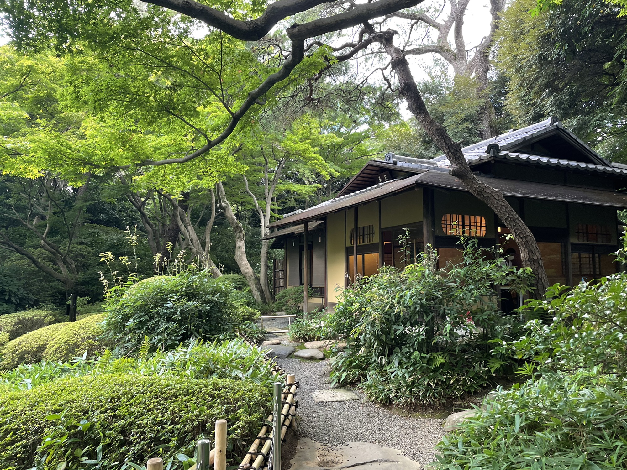美しい古美術◆蔵から美しい飴茶色の扇の香壺、香合が出て来ました。茶道具、花道具 美しい古美術◇蔵から美しい飴茶色の扇の香壺、香合が