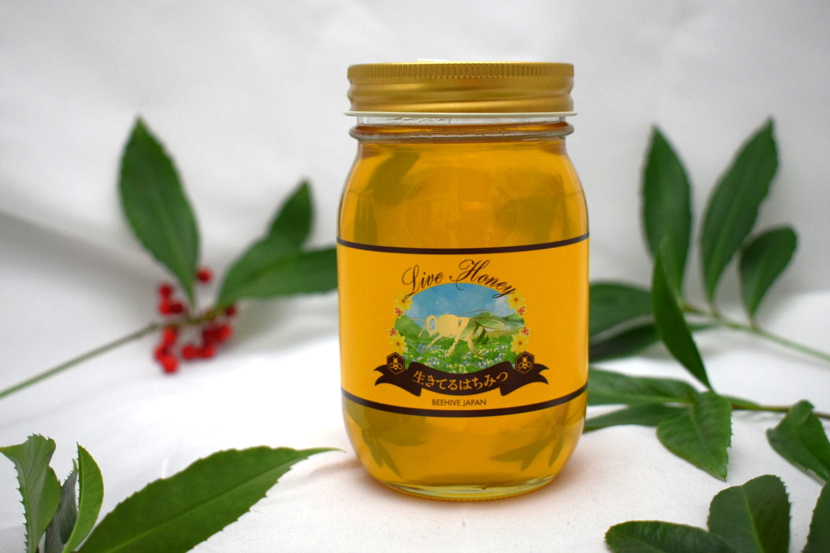 お知らせ | BEEHIVE JAPAN CO.,LTD.