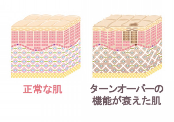 乾燥する時期にこそお顔そりを シェービングスペース Feel