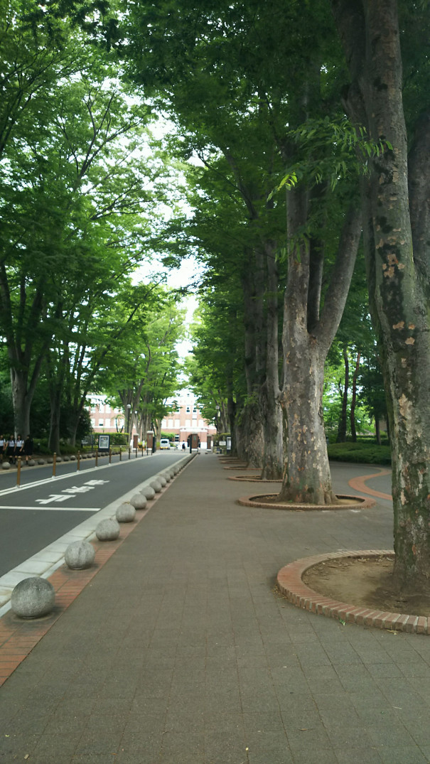 成蹊大学 関東大学バスケ観戦ガイド 非公式