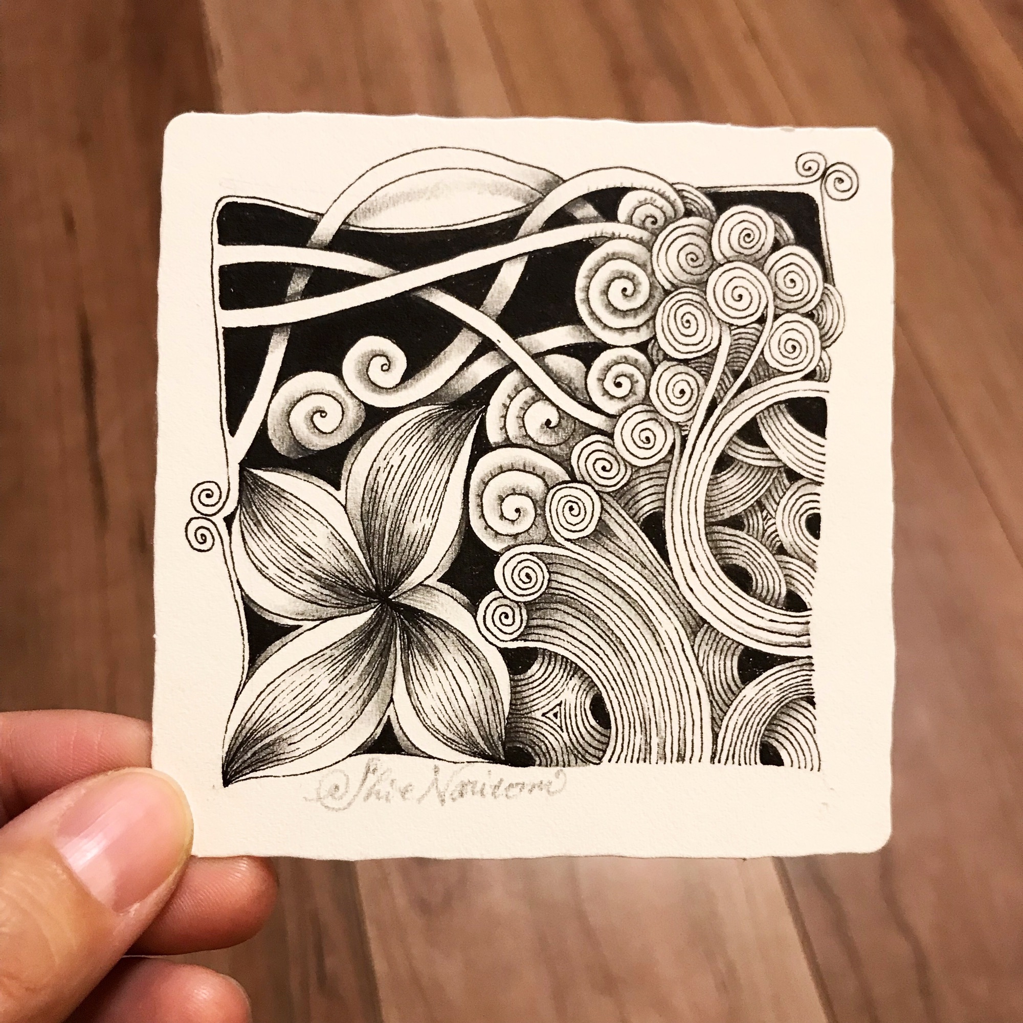 Zストリングと基本のタングル | 成冨史絵のゼンタングル®︎