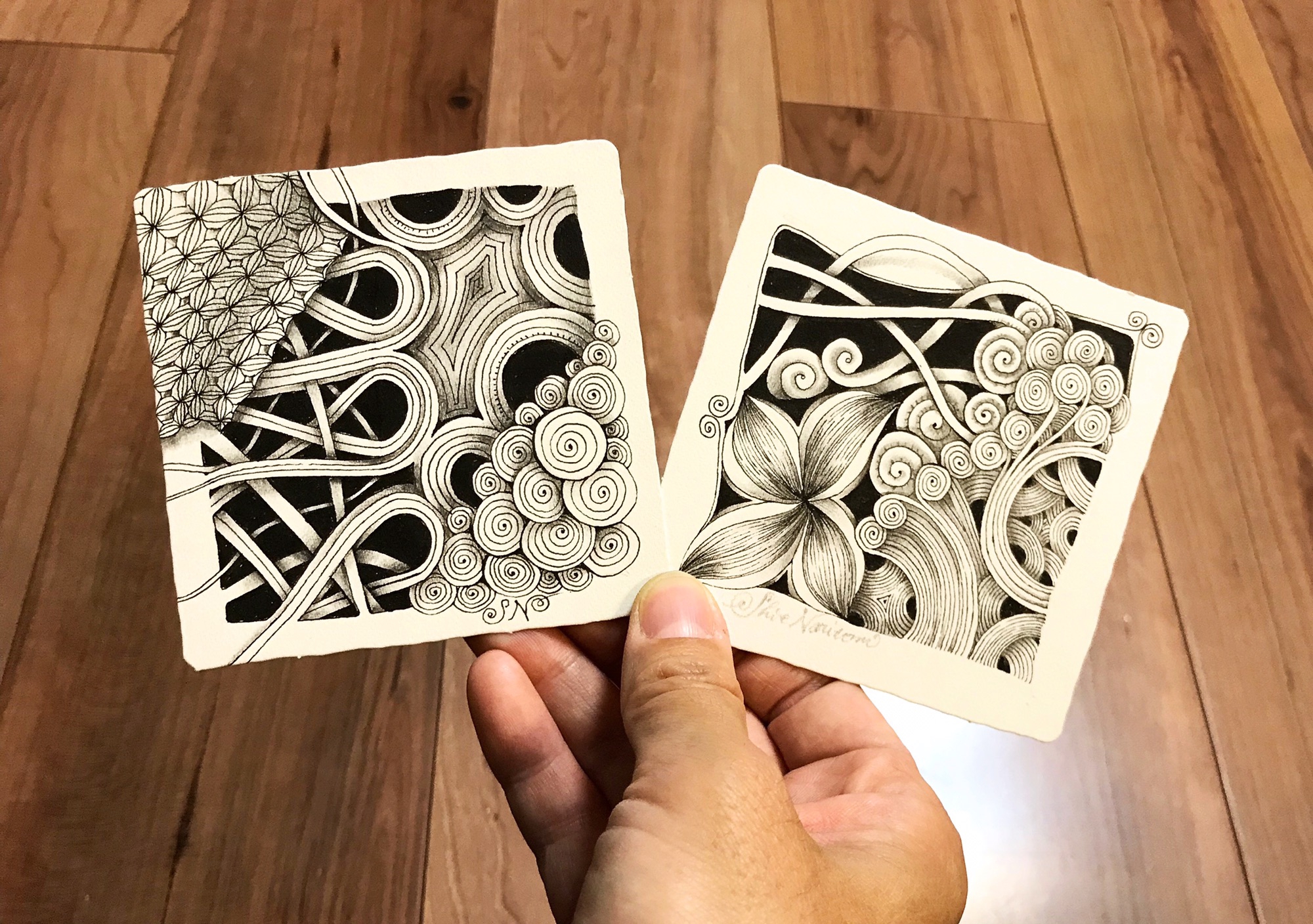 Zストリングと基本のタングル | 成冨史絵のゼンタングル®︎
