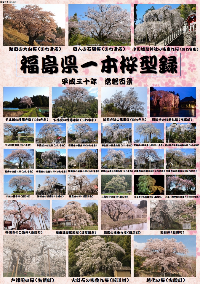 桜型録 カタログ 福島県の桜