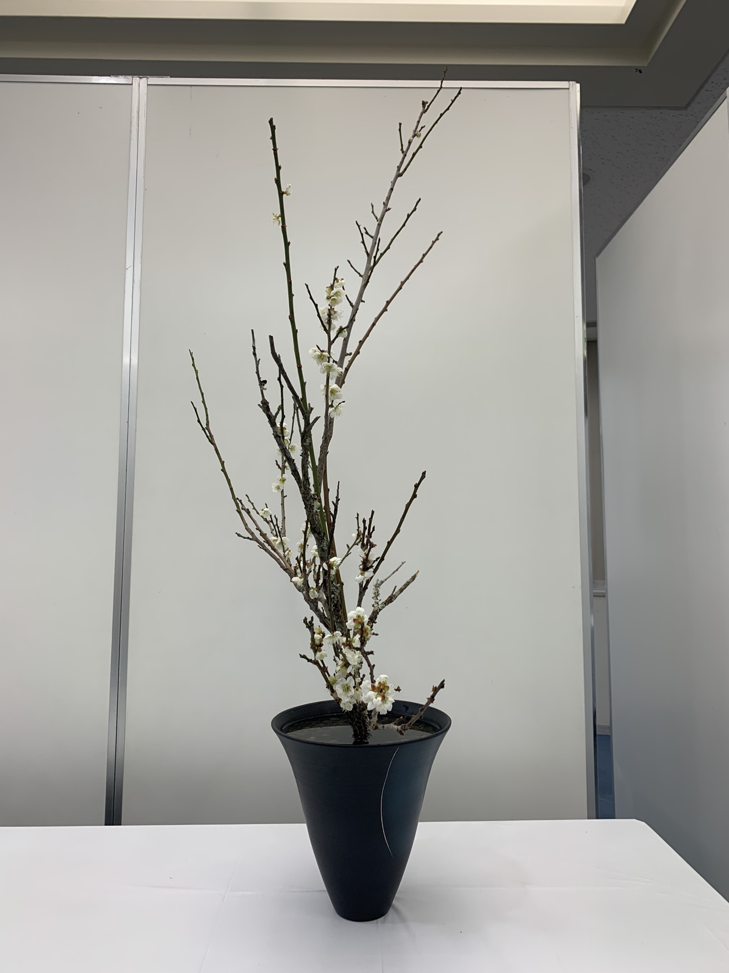 華道家元池坊大阪中央橘会支部青年部花展 | 池坊いけばな准華督