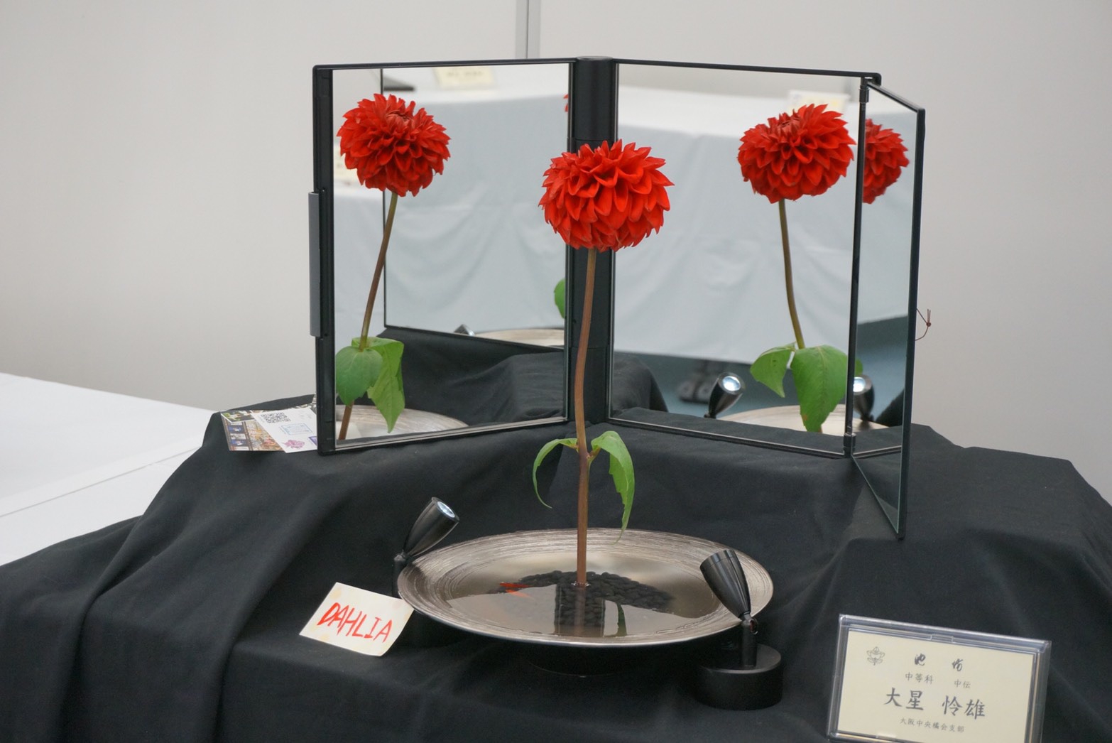 華道家元池坊大阪中央橘会支部青年部花展 | 池坊いけばな准華督是枝華