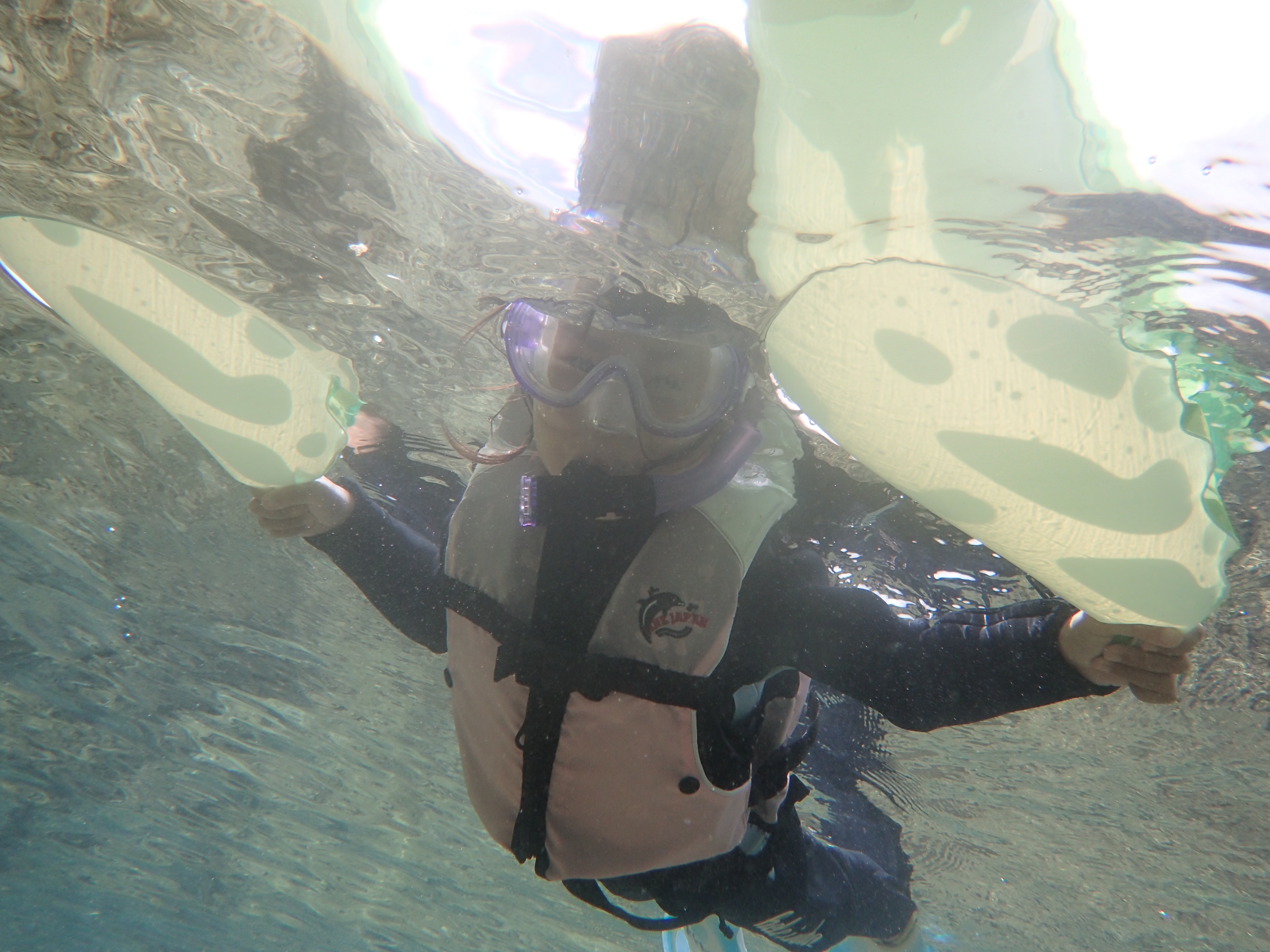 千葉の勝浦はシュノーケルの聖地 その魅力をお伝えします かめはうす 千葉県勝浦市でダイビング シュノーケルを楽しめるスキューバダイビングショップ