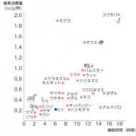 結ンデ開イテ羅刹ト骸 歌詞考察 とある異学生の高床式倉庫