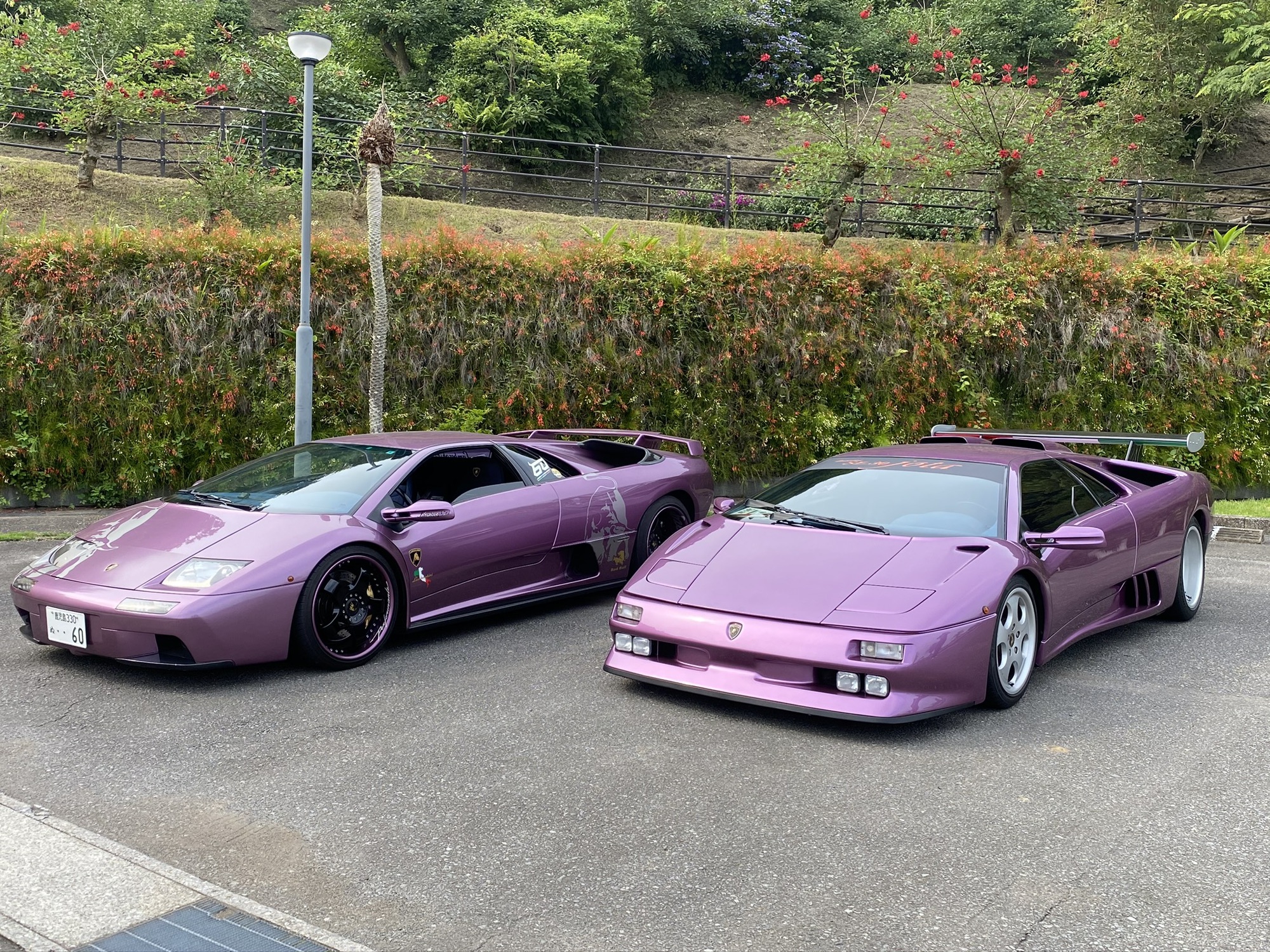 SE30イオタ（jeta） | F.PAZU