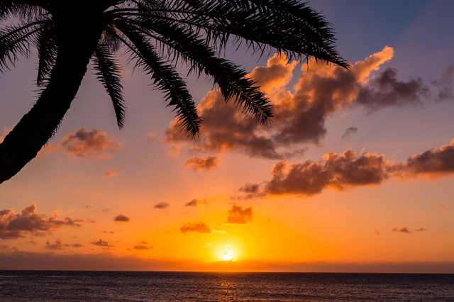 アートパネル 壁掛け パイナップル ビーチ リゾート 海 風景