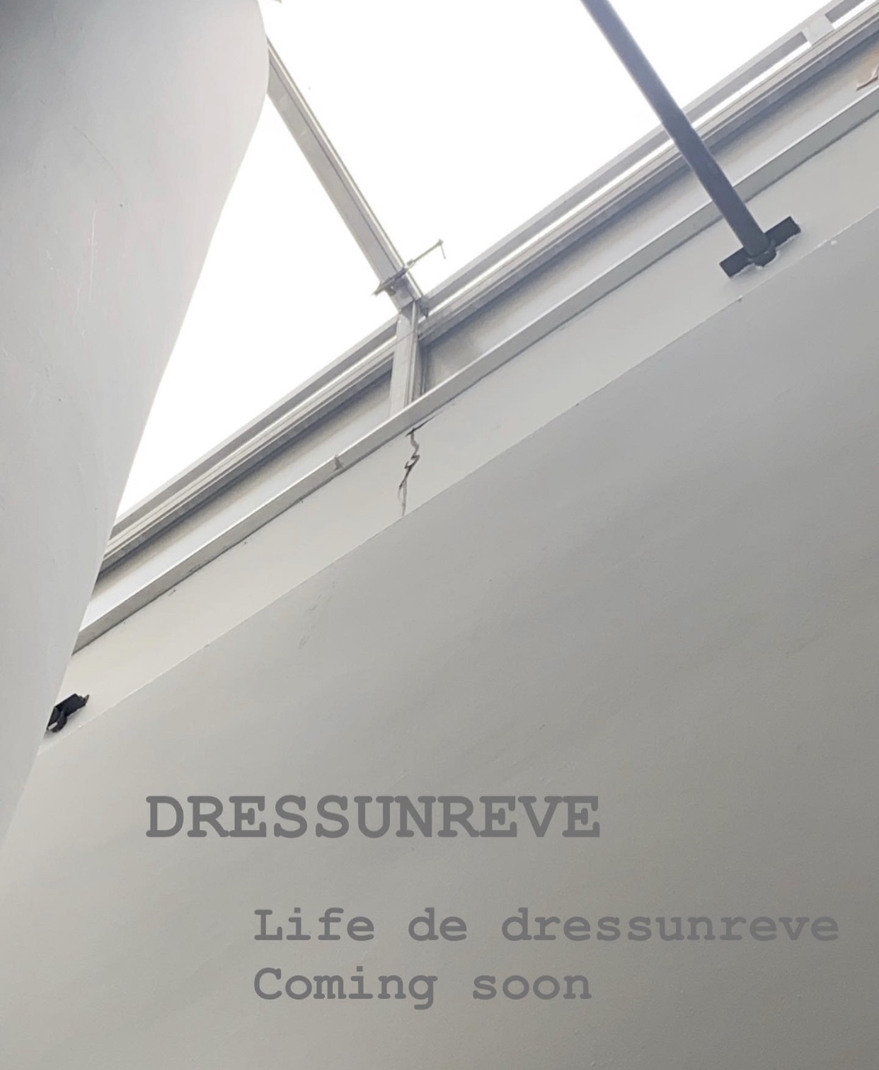 Life De Dressunreve Dressunreve