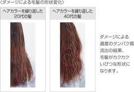 エイジング毛とは Stellaケアリスト寺澤のブログ