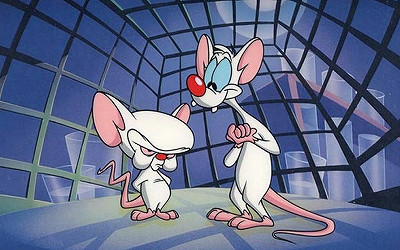 Pinky And The Brain ぬの ケイデンス Pinky And The Brain ぬの ケイデンス