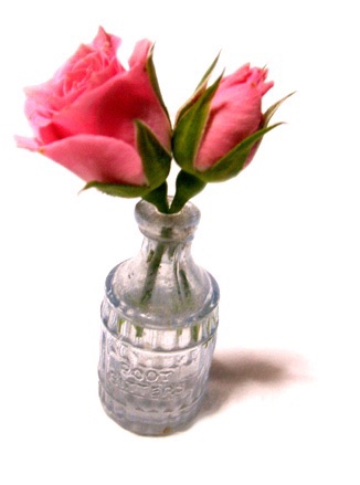 Collection No Book No Life