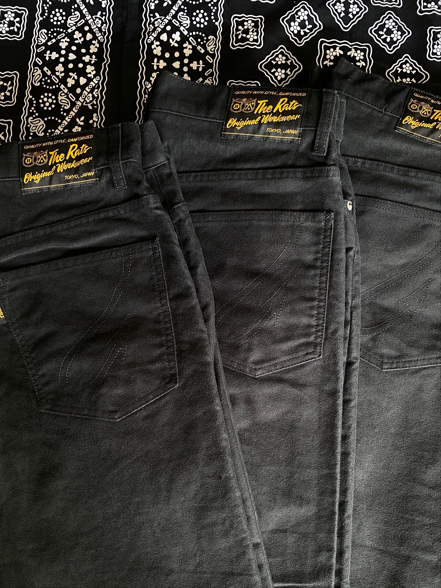 RATS | FAGRASS WEB SITE