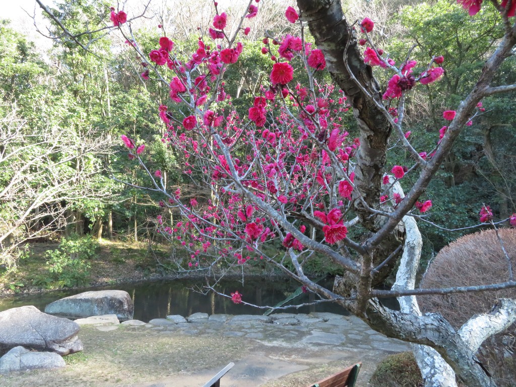 a9c6e0805ebb1517fa7ef949784147