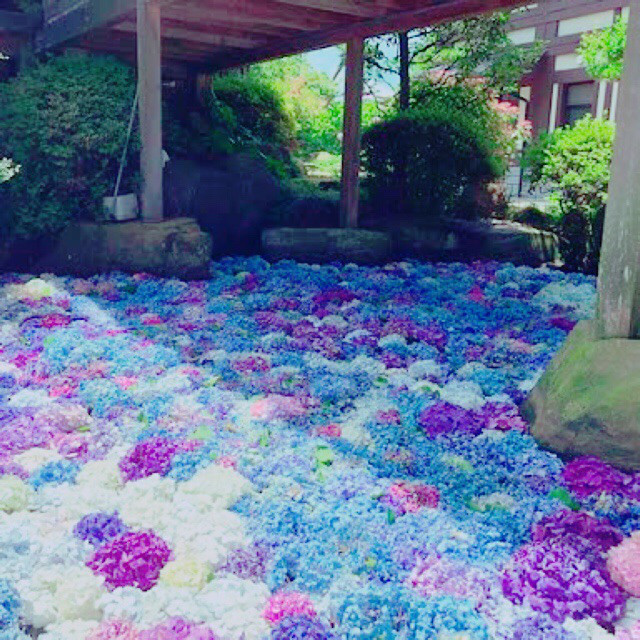 ブログ 桜川市 雨引観音 茨城県桜川市岩瀬町にあるヨガ教室 イワセヨガ