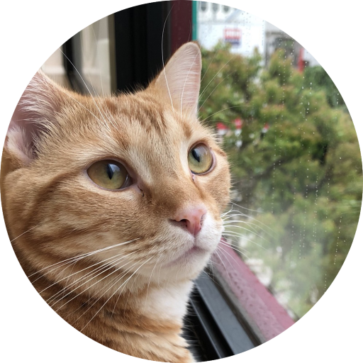猫カフェ猫の王様 埼玉川口店の記事一覧 ページ1 猫カフェ猫の王様 埼玉川口店の記事一覧 ページ1