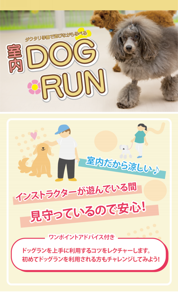 室内DOGRUN【要予約】 | 犬のがっこう・保育幼稚園「ダクタリ学園」