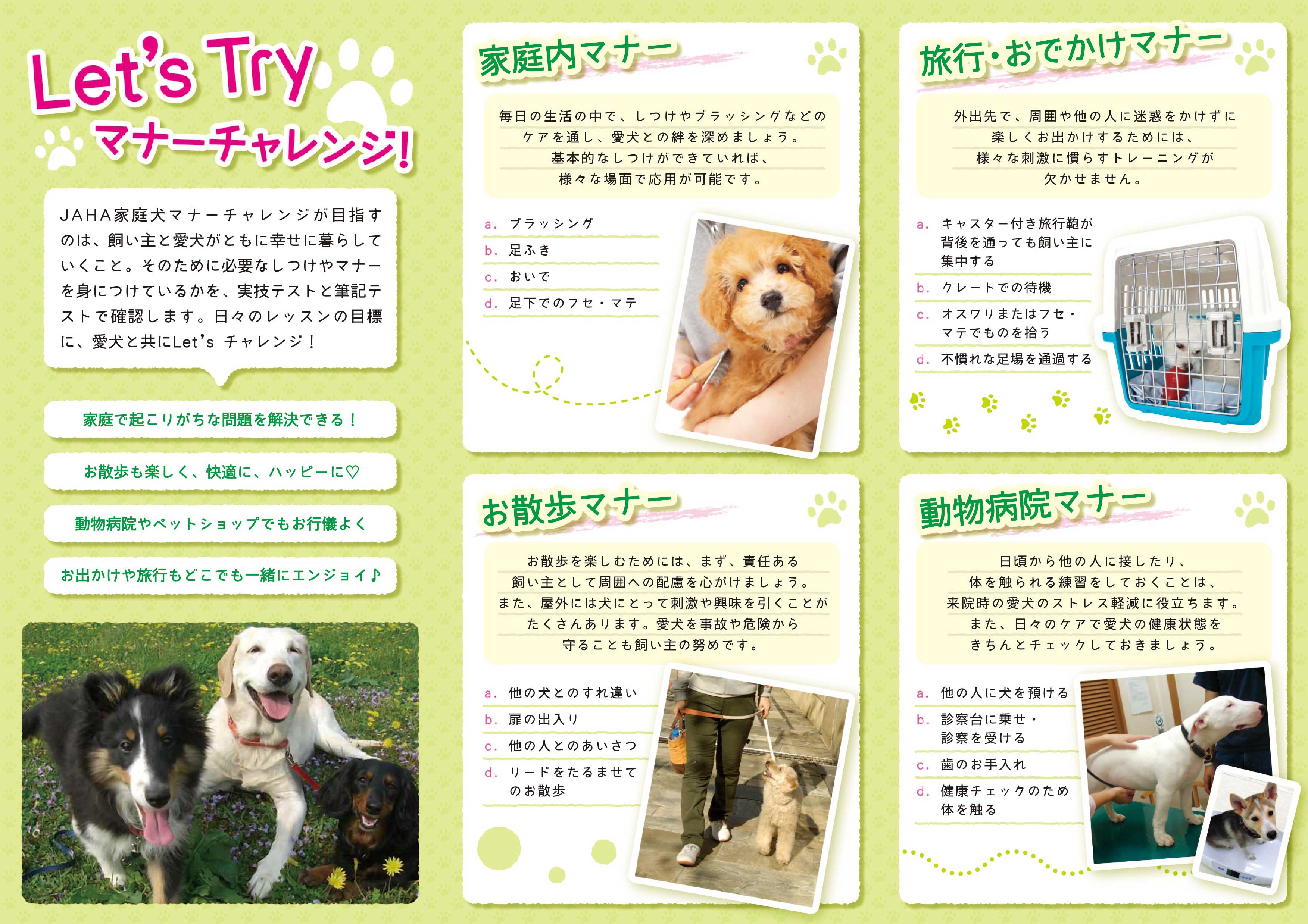 マナーチャレンジ 犬のがっこう 保育幼稚園 ダクタリ学園