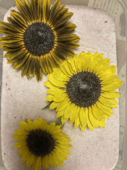作り方 アトリエ花あそび 作り方 アトリエ花あそび