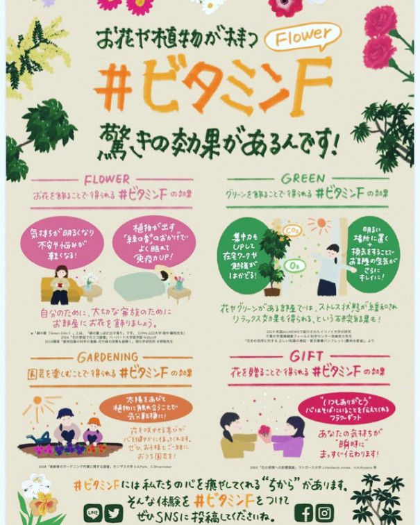 ビタミンf アトリエ花あそび ビタミンf アトリエ花あそび