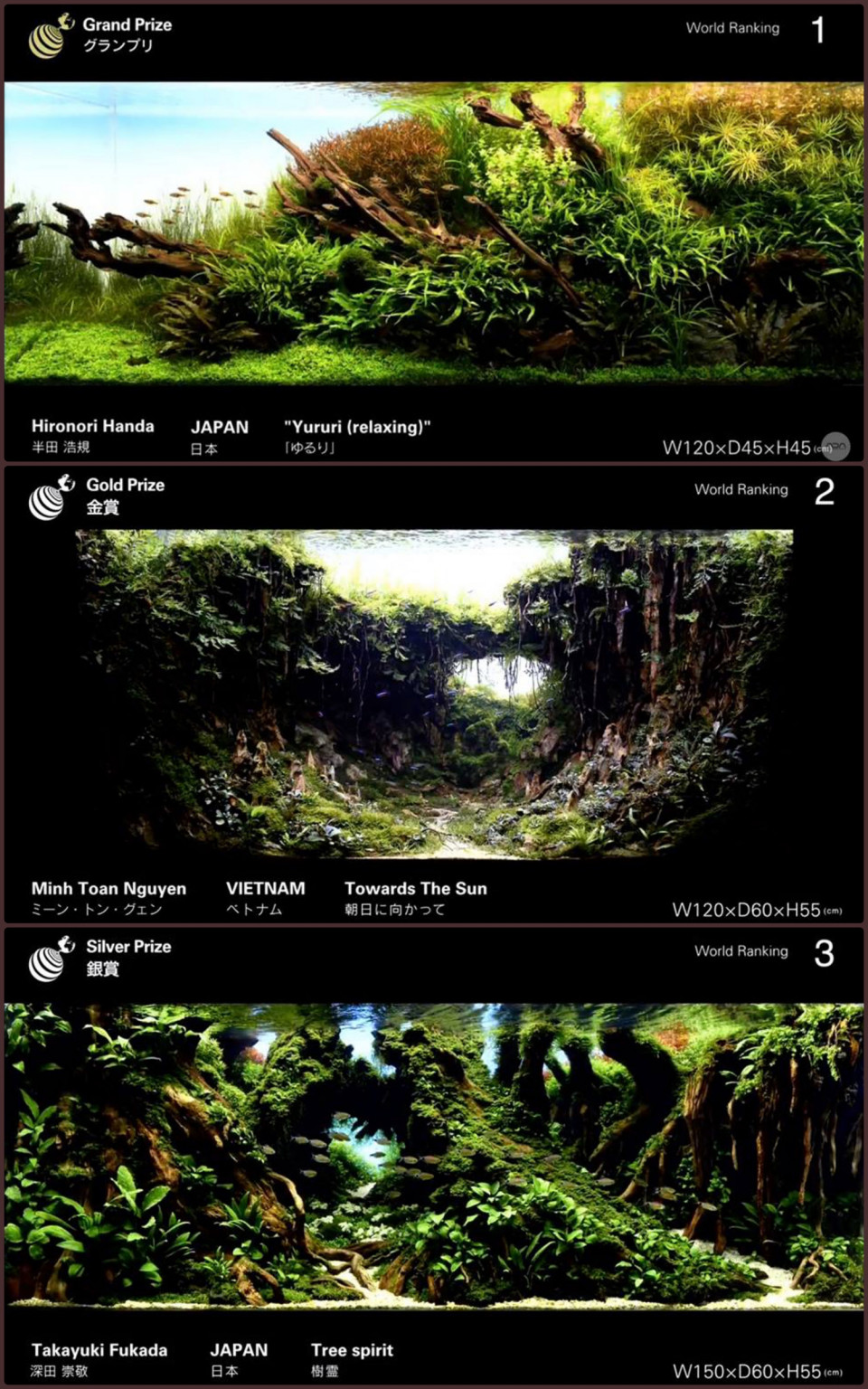 世界水草レイアウトコンテスト18 Aqualite